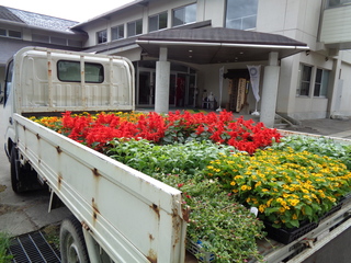DSC00700.JPG