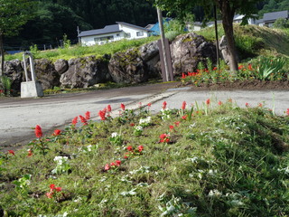 DSC00716.JPG