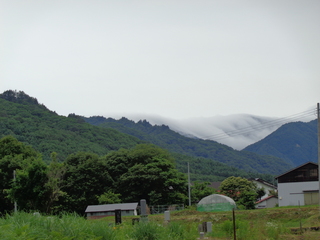 DSC00734.JPG