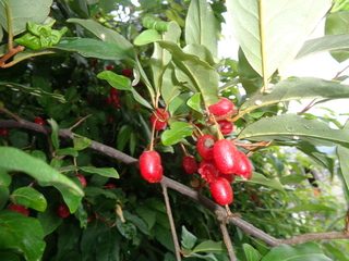 DSC00743.JPG