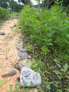 DSC00763.JPG