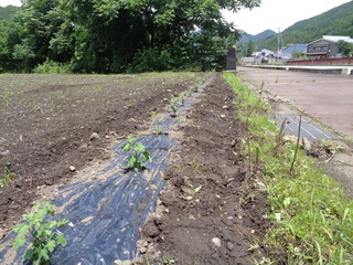 DSC00788.JPG