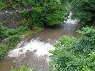 DSC00797.JPG