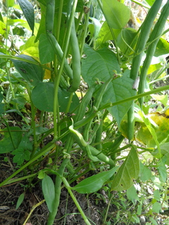 DSC00843.JPG