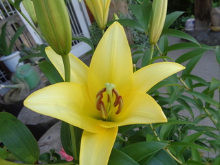 DSC00856.JPG