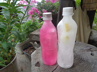 DSC00865.JPG