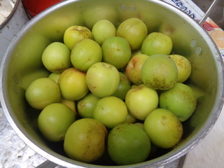 DSC00871.JPG