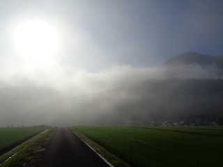 DSC00882.JPG