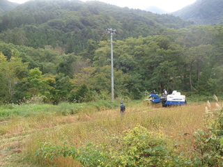 DSC01302.JPG