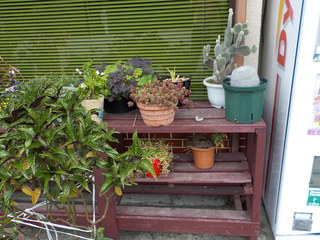 DSCN3536.JPG
