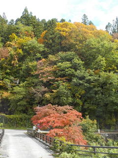 DSCN4103.JPG