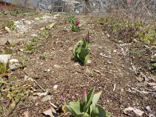 DSCN5158.JPG