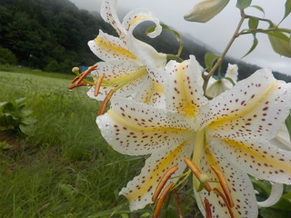 DSCN5815.JPG