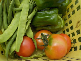 DSCN5833.JPG