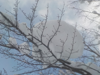 DSCN7049.JPG
