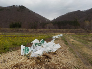 DSCN7628.JPG