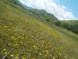 DSCN7851.JPG
