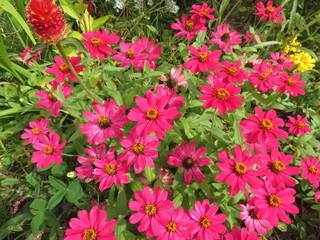 IMG_0931.JPG