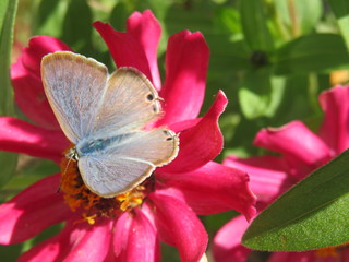 IMG_1001.JPG