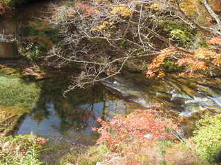 IMG_1050.JPG