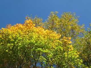 IMG_1117.JPG