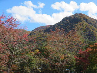 IMG_1137.JPG