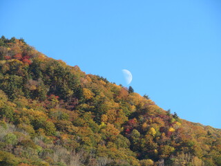 IMG_1145.JPG