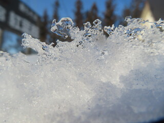IMG_4854.JPG