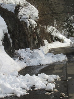 IMG_4891.JPG