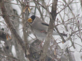 IMG_4936.JPG