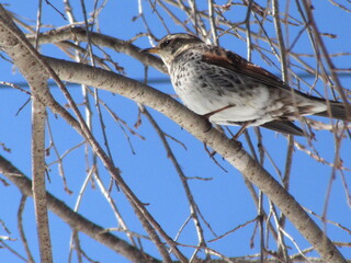 IMG_5007.JPG