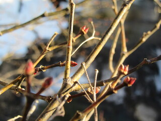 IMG_5017.JPG
