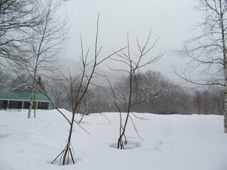 IMG_5081.JPG