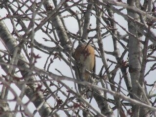 IMG_5090.JPG