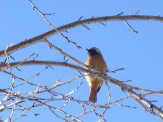 IMG_5113.JPG