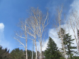 IMG_5324.JPG