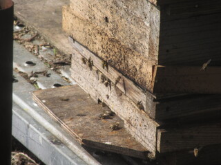 IMG_5492.JPG