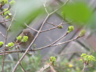 IMG_5637.JPG