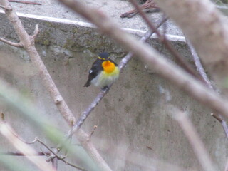 IMG_5652.JPG