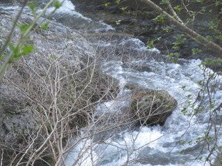 IMG_5655.JPG