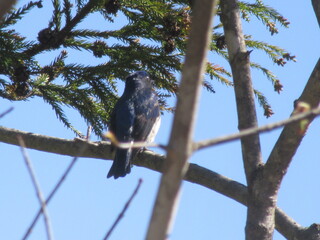 IMG_5664.JPG