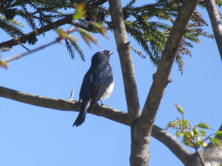 IMG_5665.JPG