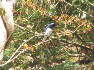 IMG_5677.JPG