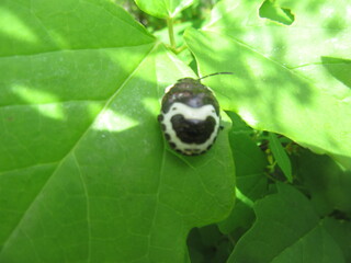 IMG_5922.JPG