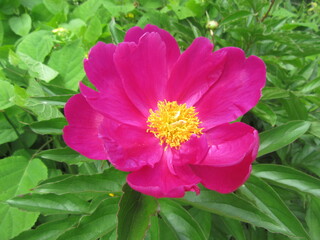 IMG_5996.JPG