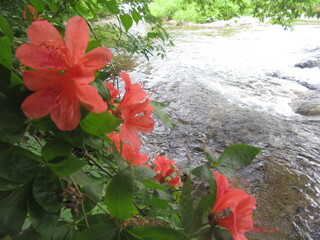 IMG_6033.JPG